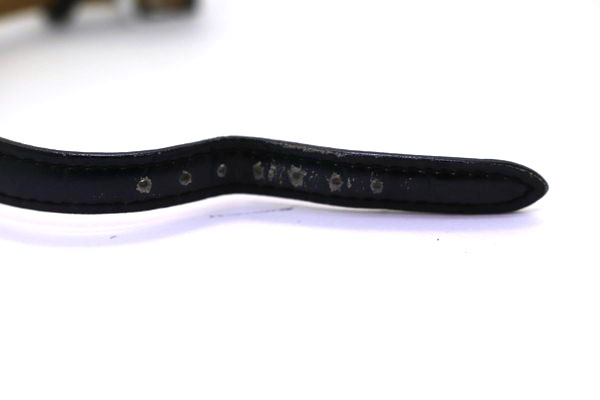 RADO ラドー ダイアスター【153.0489.3】 時計ベルト.com | 業界